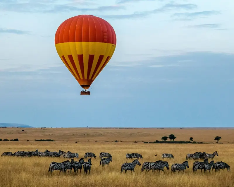Hot air balloon over the savanna with a herd of zebras